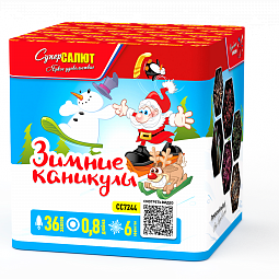 Зимние каникулы 